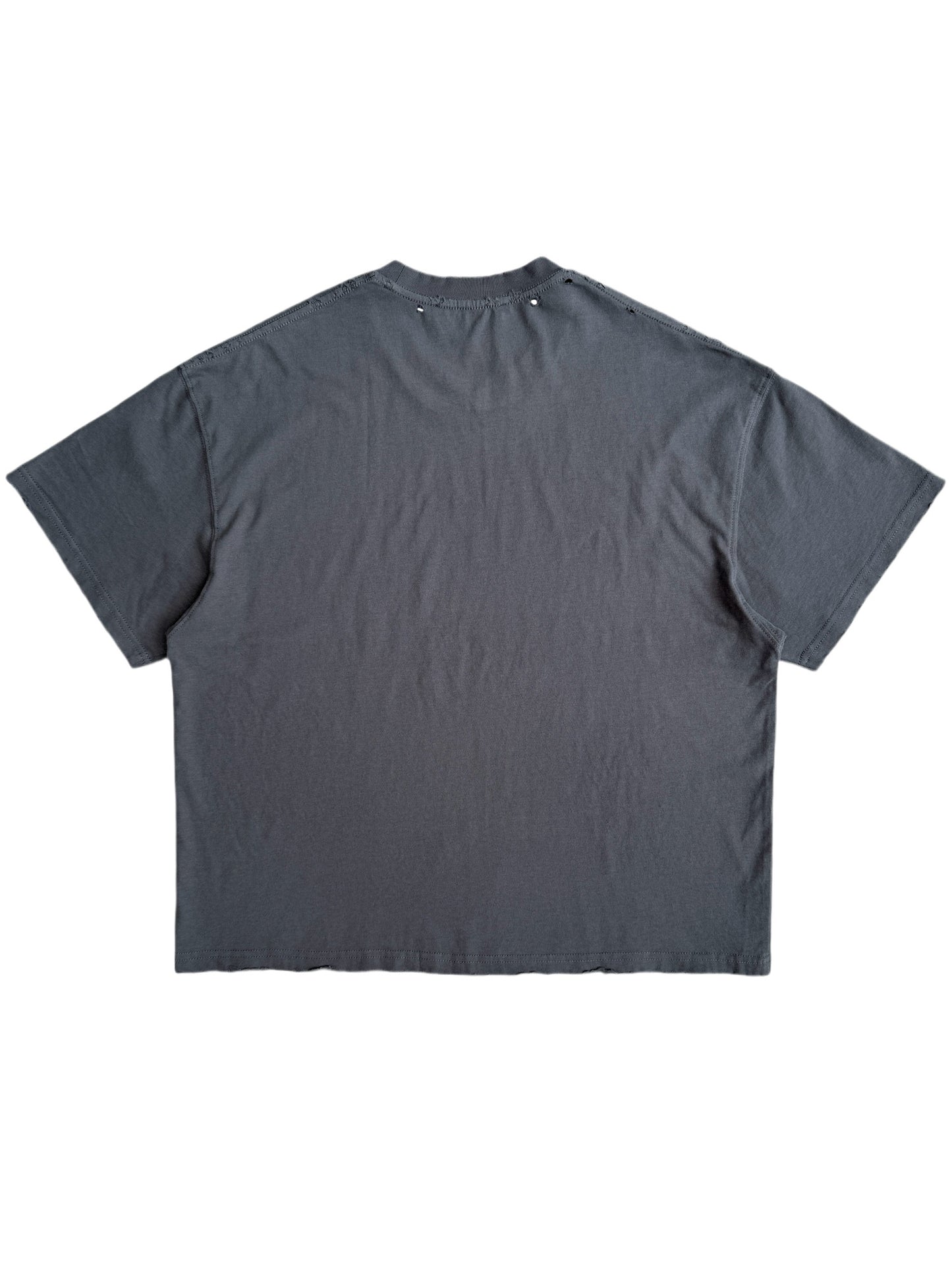 Virtual Band Print T-Shirt with Washed Finish