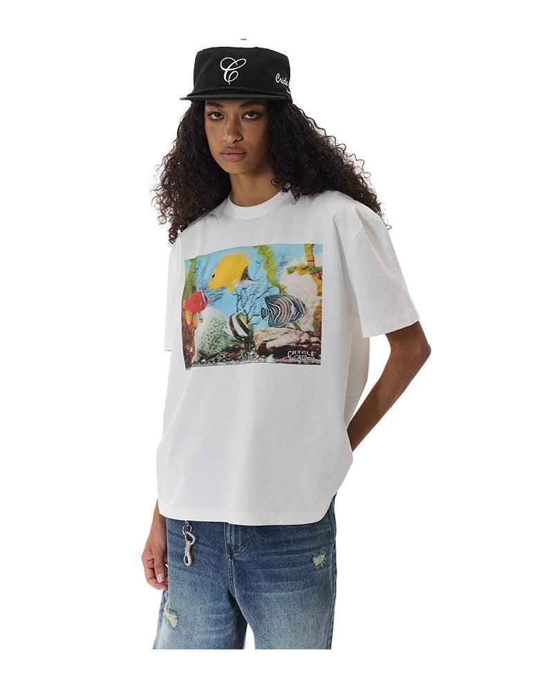 Printed Round Neck T-Shirt