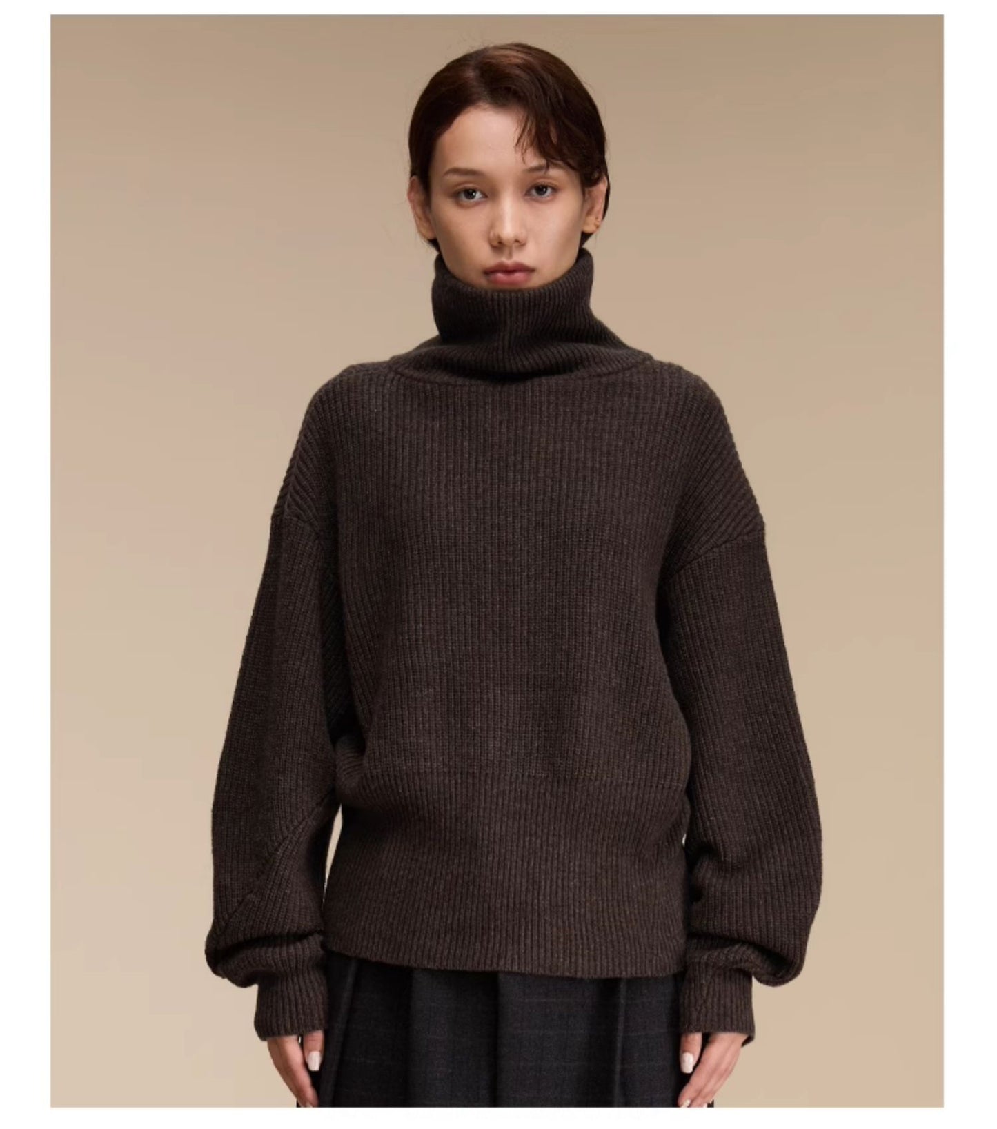 Wool blend turtleneck sweater