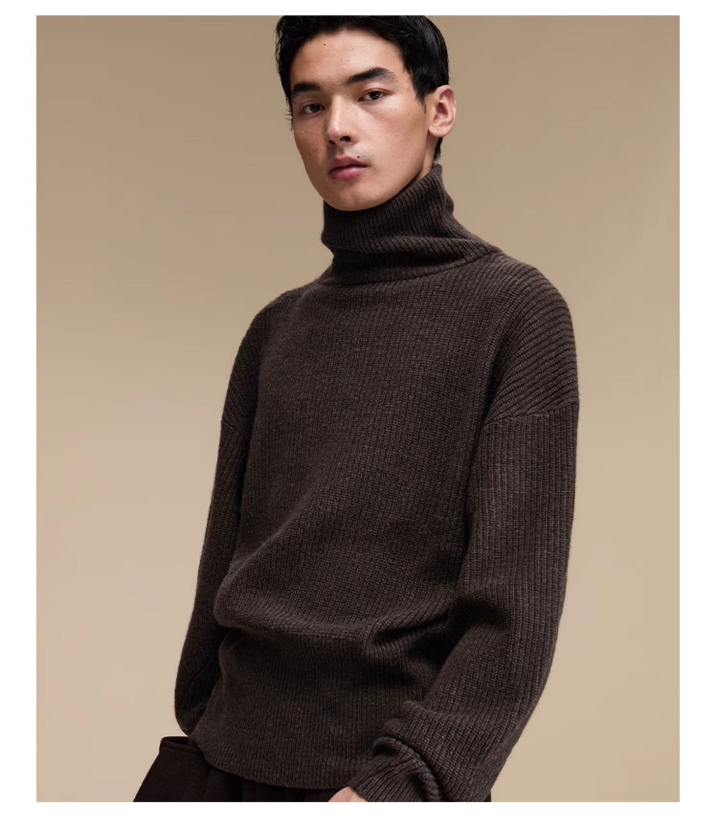 Wool blend turtleneck sweater