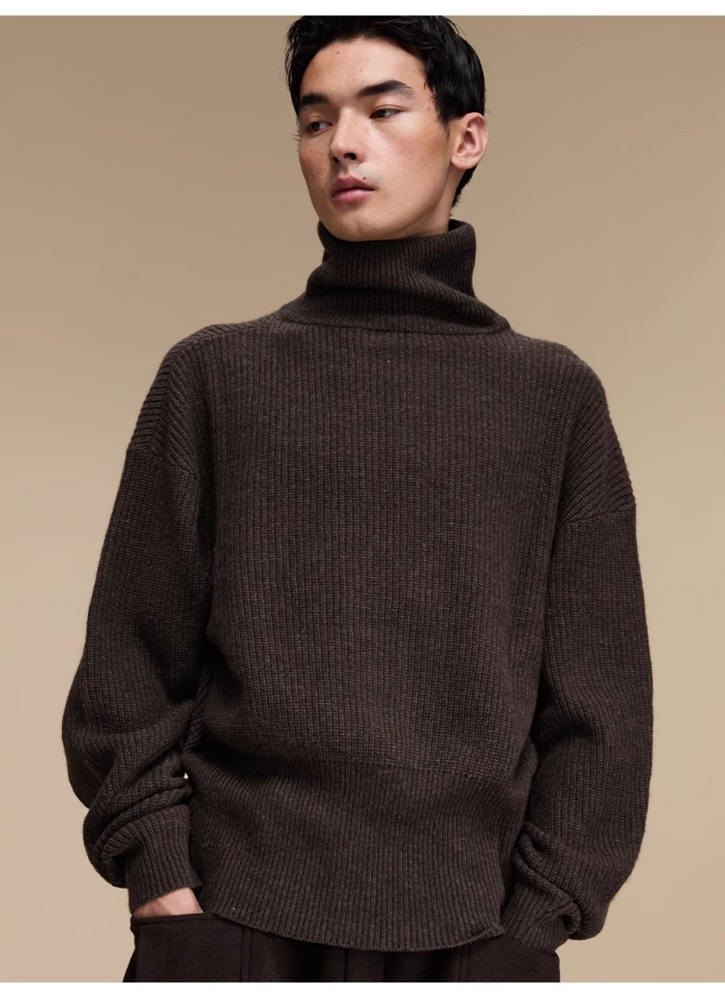 Wool blend turtleneck sweater